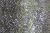 Newtownards fibreglass roof work